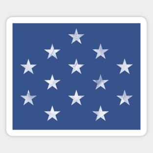 Medal of Honor Stars Magnet